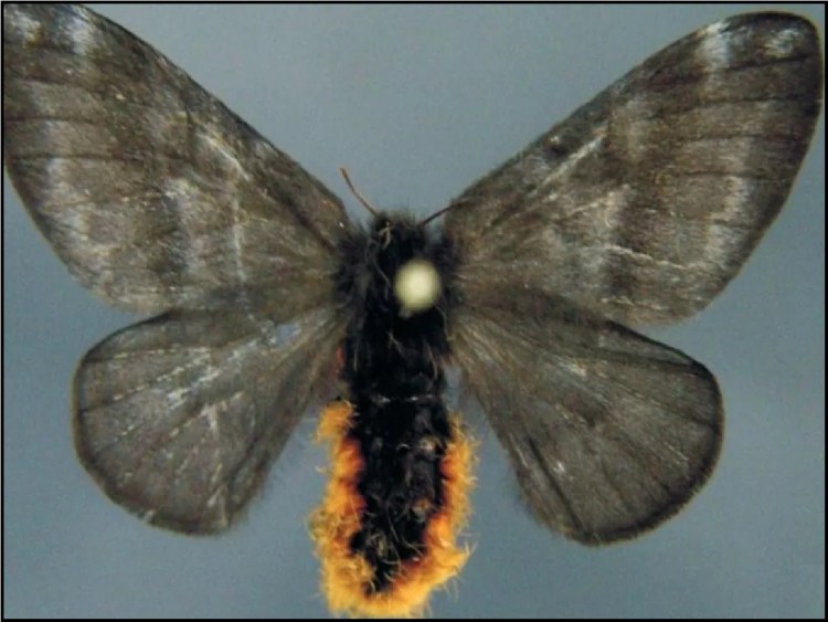 Acesse https://surgeaki.com e fique por dentro !