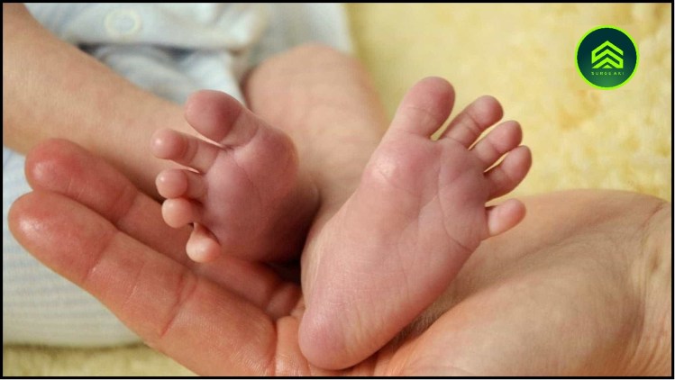 Acesse https://surgeaki.com e fique por dentro !